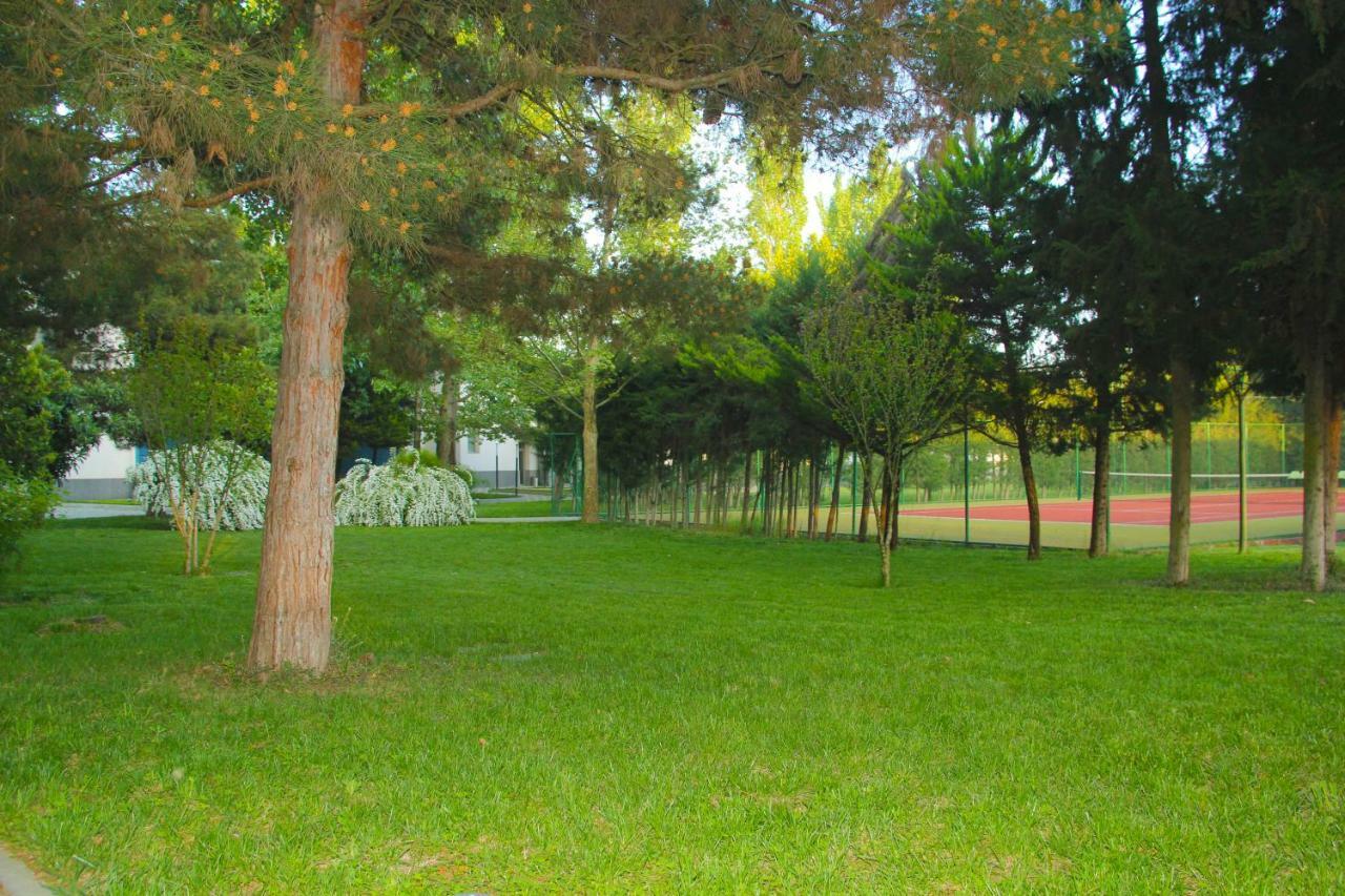 Sheki Olimpiya Hotel & Resort Exterior foto